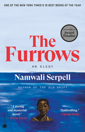 The Furrows Book Cover Picture