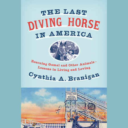 The Last Diving Horse in America by Cynthia A. Branigan