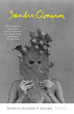 Woman Without Shame Book Cover Picture