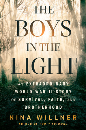 The Boys in the Light by Nina Willner