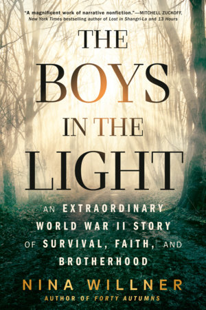The Boys in the Light by Nina Willner