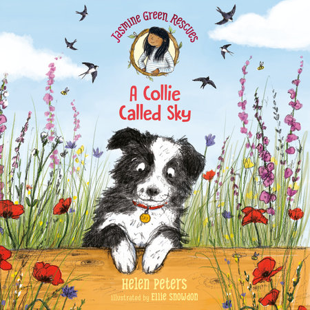Jasmine Green Rescues: A Collie Called Sky by Helen Peters