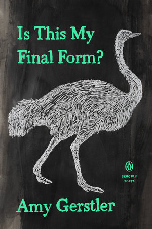 Is This My Final Form? by Amy Gerstler