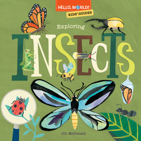 Hello, World! Kids' Guides: Exploring Insects by Jill McDonald