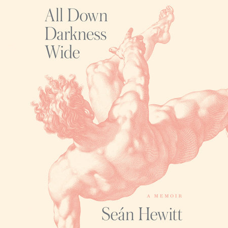 All Down Darkness Wide by Seán Hewitt