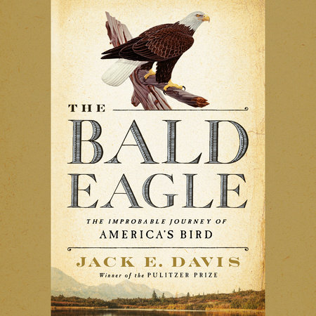 The Bald Eagle by Jack E. Davis