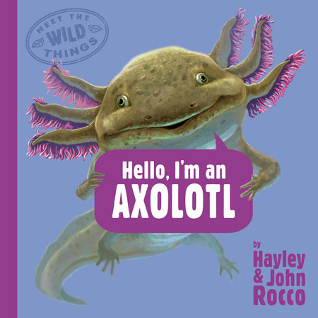 Hello, I'm an Axolotl (Meet the Wild Things, Book 4) by Hayley Rocco