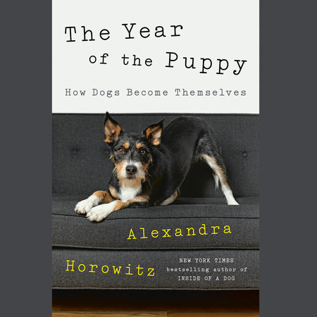 The Year of the Puppy by Alexandra Horowitz