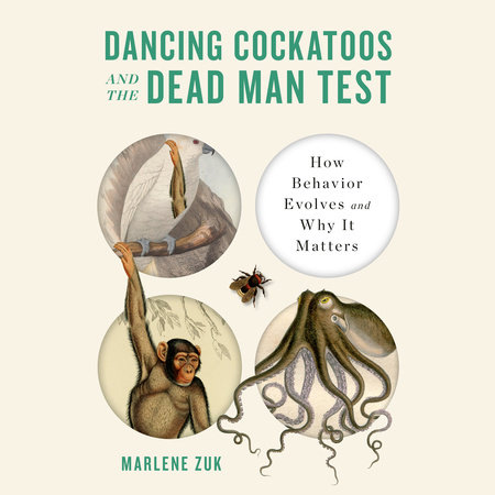 Dancing Cockatoos and the Dead Man Test by Marlene Zuk