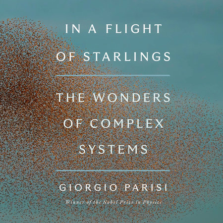 In a Flight of Starlings by Giorgio Parisi