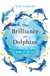 The Brilliance of Dolphins