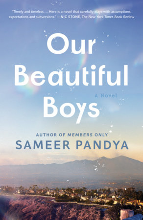 Our Beautiful Boys by Sameer Pandya