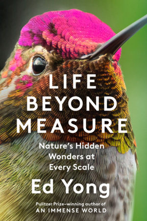 Life Beyond Measure by Ed Yong