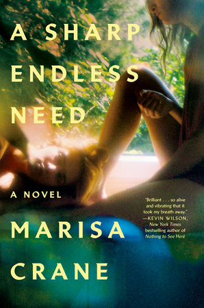 A Sharp Endless Need Book Cover Picture