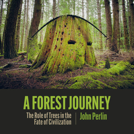 A Forest Journey by John Perlin