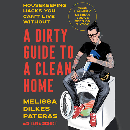 A Dirty Guide to a Clean Home by Melissa Dilkes Pateras and Carla Sosenko