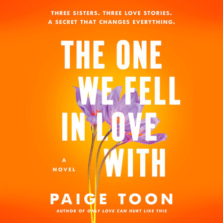 The One We Fell in Love With by Paige Toon
