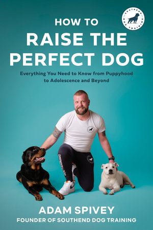 How to Raise the Perfect Dog by Adam Spivey