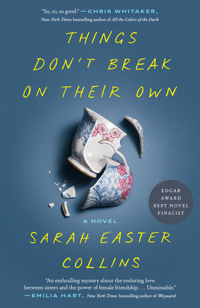 Things Don't Break on Their Own by Sarah Easter Collins