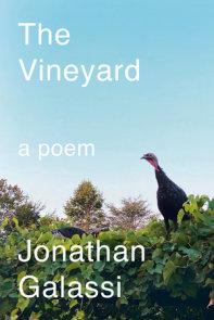 The Vineyard
