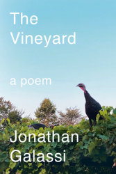 The Vineyard