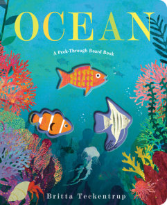Ocean: A Peek-Through Board Book