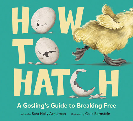 How to Hatch by Sara Holly Ackerman
