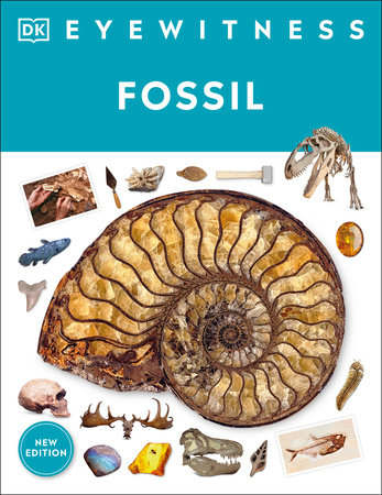 Eyewitness Fossil by Paul David Taylor