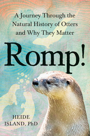 Romp! by Heide Island, PhD