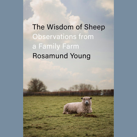 The Wisdom of Sheep by Rosamund Young