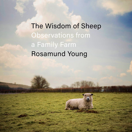 The Wisdom of Sheep by Rosamund Young