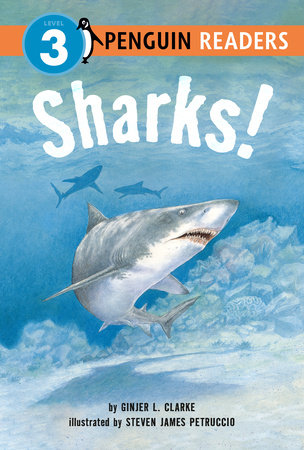 Sharks! by Ginjer L. Clarke