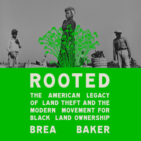 Rooted by Brea Baker