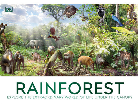 Rainforest by DK