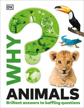 Why? Animals by DK