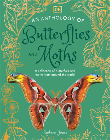 An Anthology of Butterflies and Moths by Richard Jones
