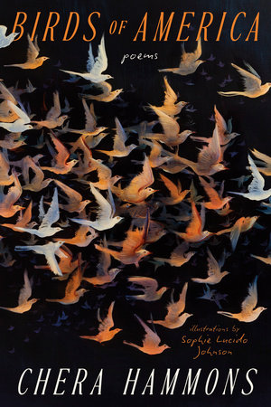 Birds of America by Chera Hammons