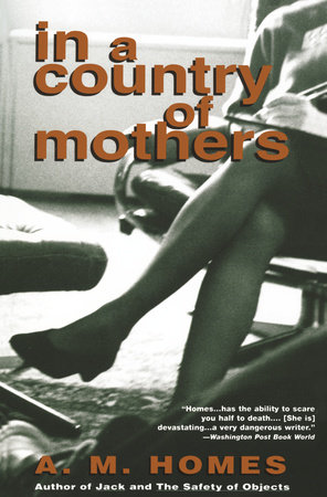 In a Country of Mothers by A. M. Homes
