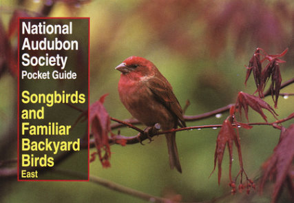 National Audubon Society Pocket Guide to Songbirds and Familiar Backyard Birds: Eastern Region