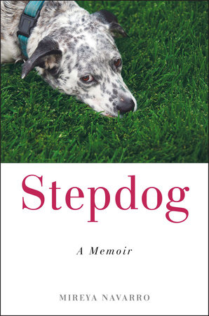 Stepdog by Mireya Navarro