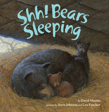 Shh! Bears Sleeping by David Martin