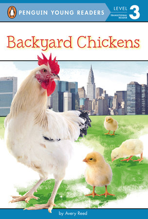 Backyard Chickens by Avery Reed