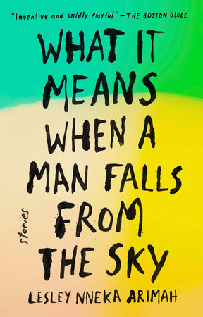 What It Means When a Man Falls from the Sky Book Cover Picture
