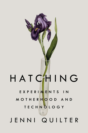 Hatching by Jenni Quilter