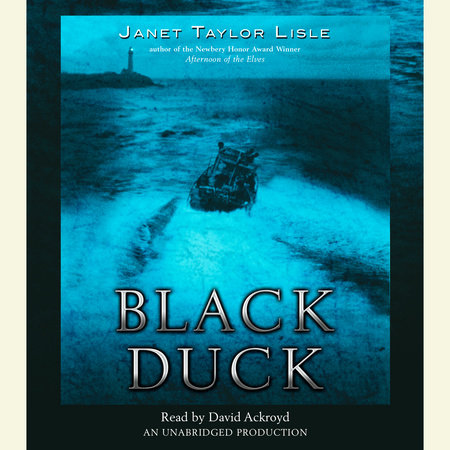 Black Duck by Janet Taylor Lisle