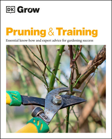 Grow Pruning and Training by Stephanie Mahon