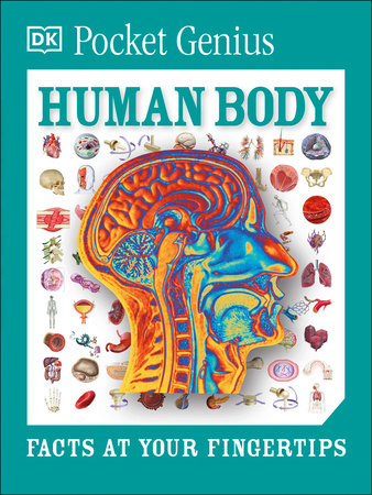 Pocket Genius: Human Body by DK