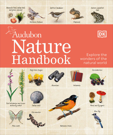 Nature Handbook by DK