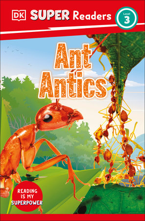 DK Super Readers Level 3 Ant Antics by DK