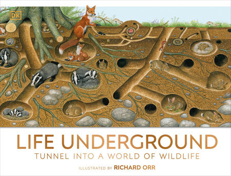 Life Underground by DK